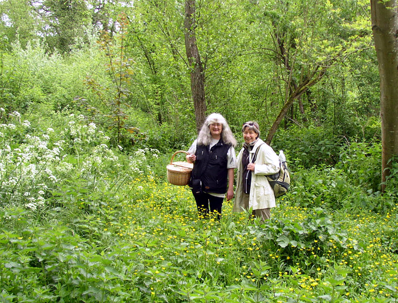 2009 Marais de la Voise 12